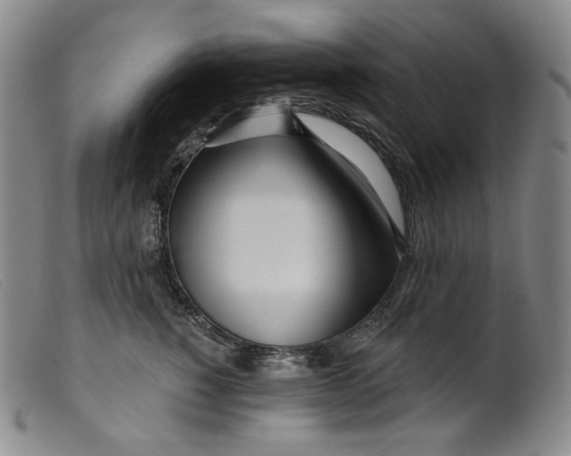 X0000099440760200805231717