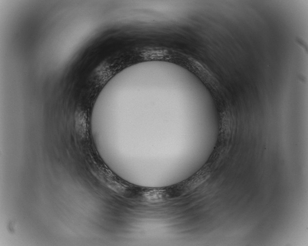 X0000099440761200805231717