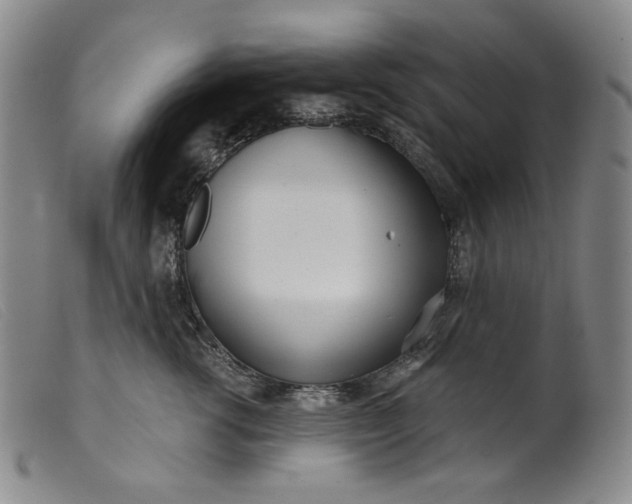X0000099440762200805231717