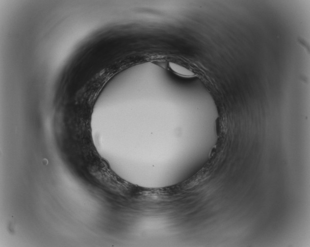 X0000099440763200805231717
