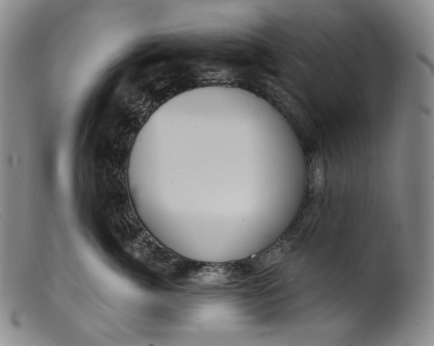 X0000099440764200805231717