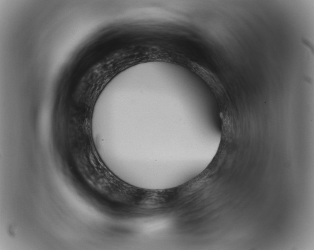 X0000099440765200805231717