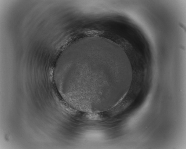 X0000099440767200805231717