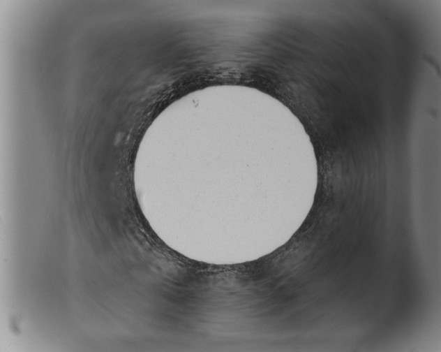 X0000099440769200805231716