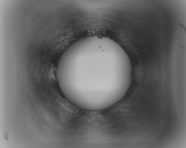 X0000099440770200805231716