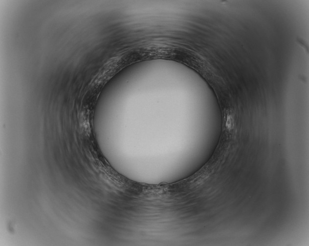 X0000099440771200805231716