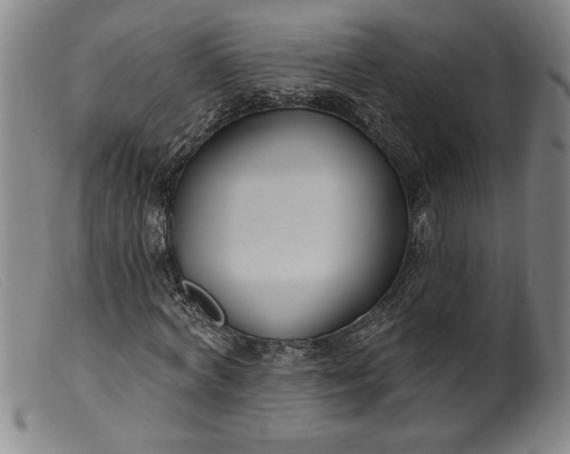X0000099440772200805231716