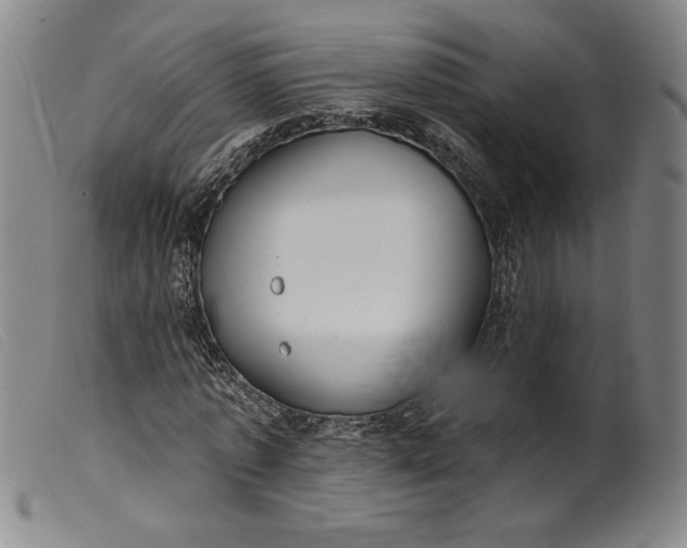 X0000099440773200805231716