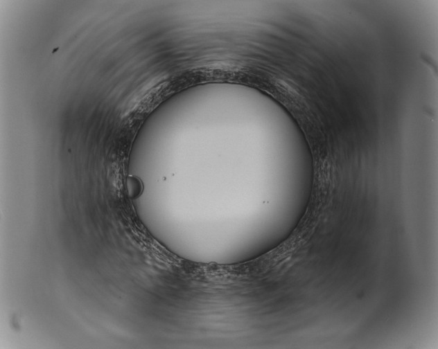 X0000099440774200805231716