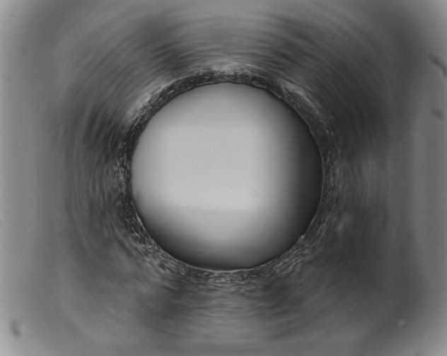 X0000099440776200805231716