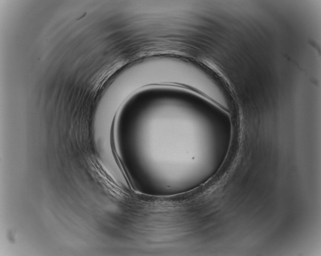 X0000099440777200805231716