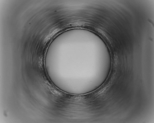 X0000099440778200805231716