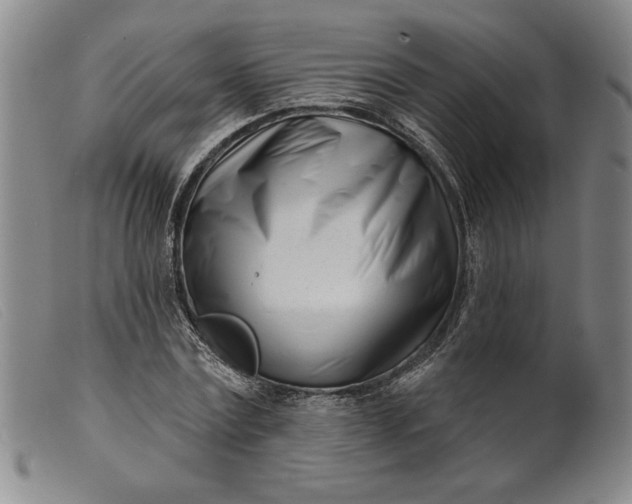 X0000099440779200805231716