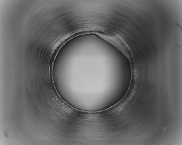 X0000099440781200805231716