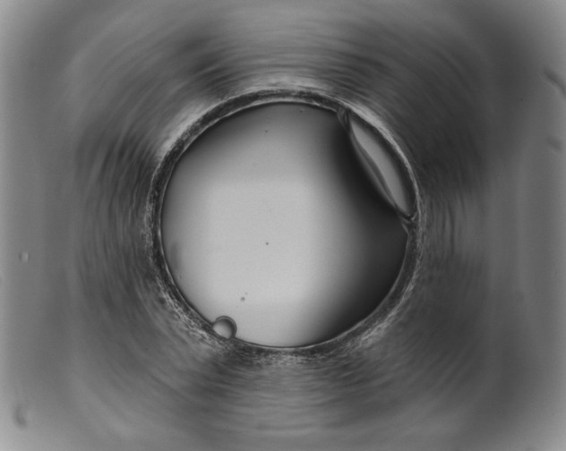 X0000099440783200805231716