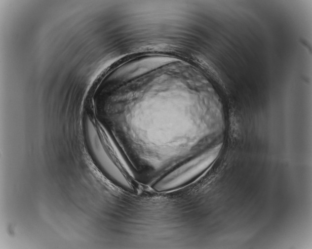 X0000099440784200805231716