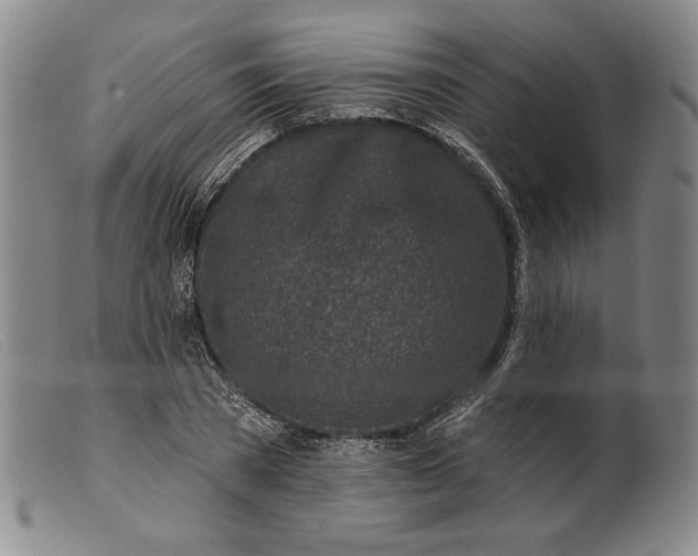 X0000099440785200805231716