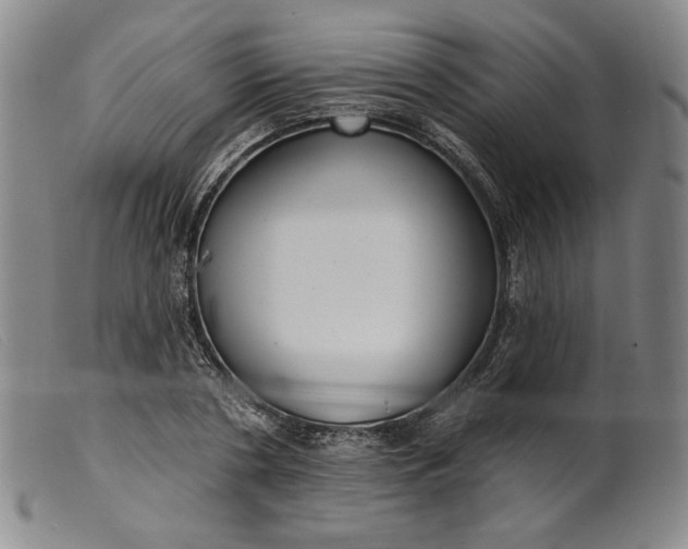 X0000099440786200805231716