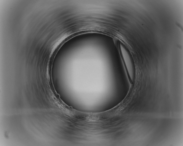X0000099440788200805231716