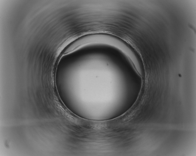 X0000099440789200805231716