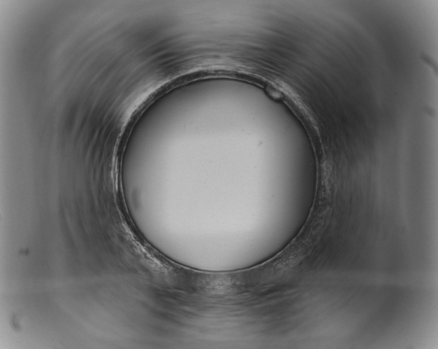 X0000099440791200805231716