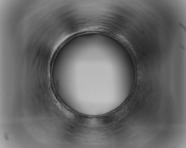 X0000099440792200805231716