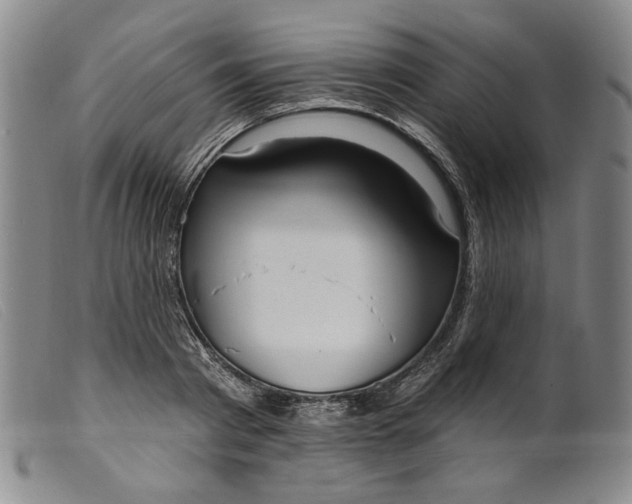 X0000099440793200805231716