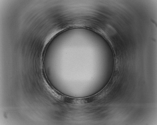 X0000099440795200805231716