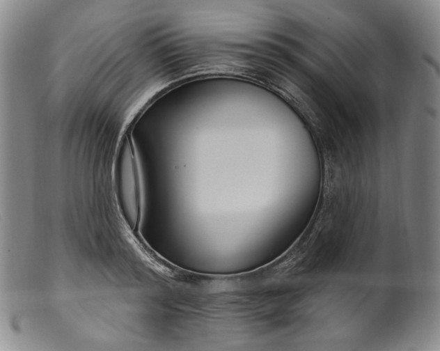 X0000099440796200805231716