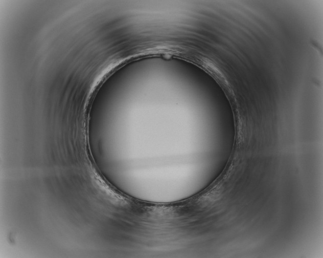 X0000099440800200805231716