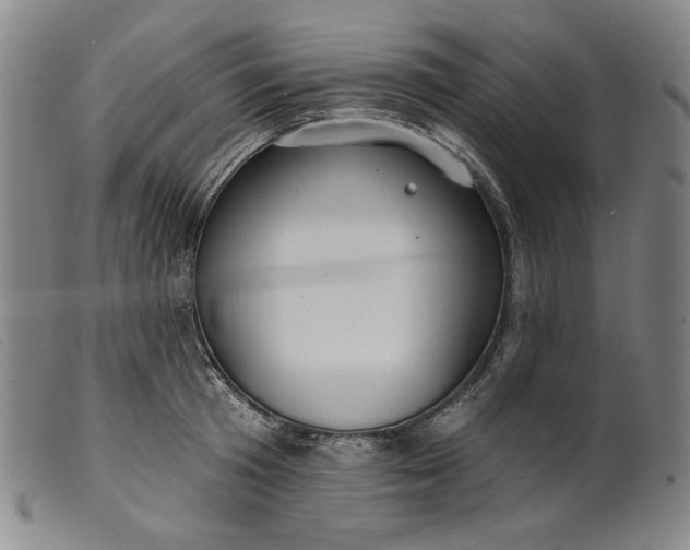 X0000099440801200805231716