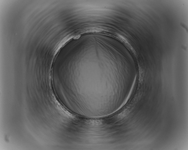 X0000099440802200805231716