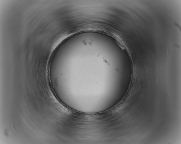 X0000099440803200805231716