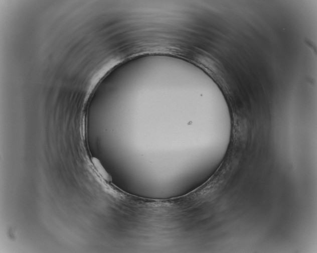 X0000099440804200805231716