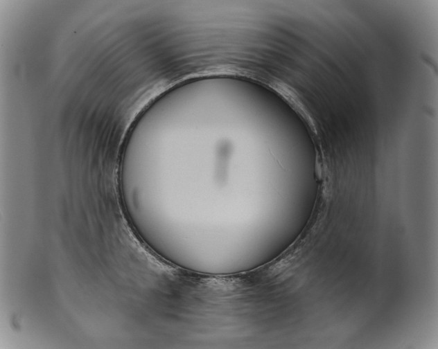 X0000099440805200805231716