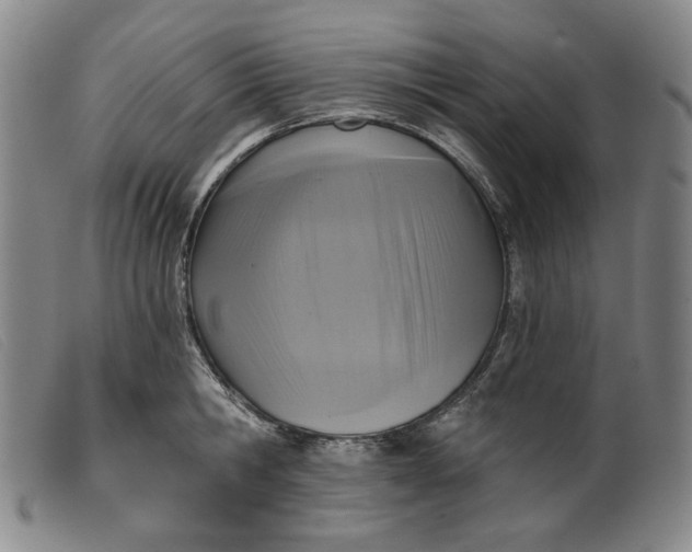 X0000099440806200805231716