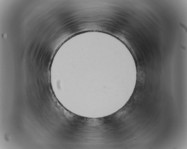 X0000099440807200805231716