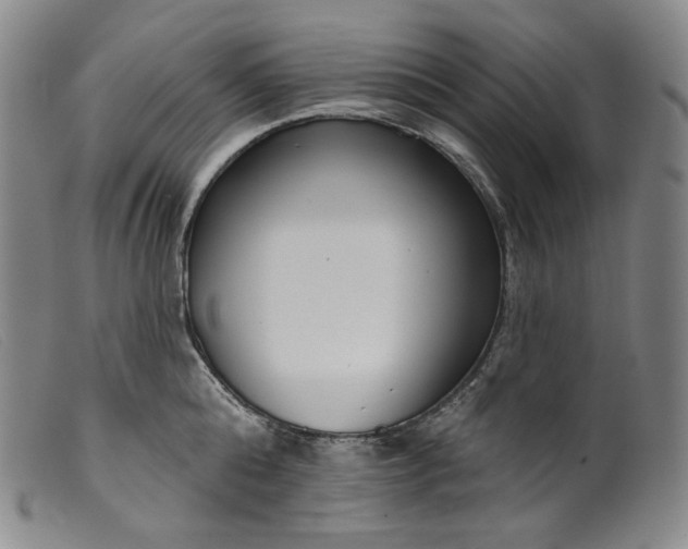 X0000099440808200805231716