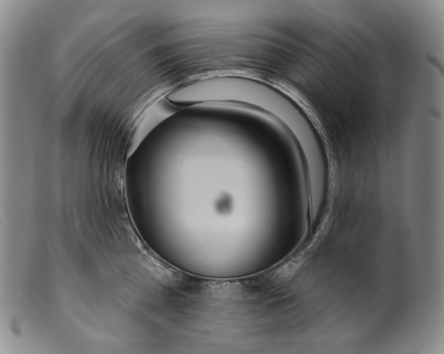 X0000099440809200805231716