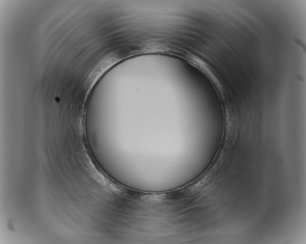 X0000099440810200805231716