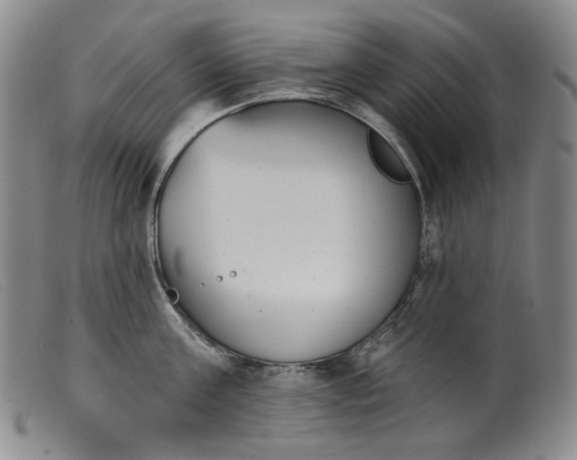 X0000099440811200805231716