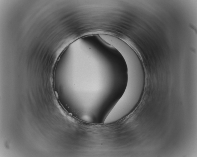 X0000099440813200805231716