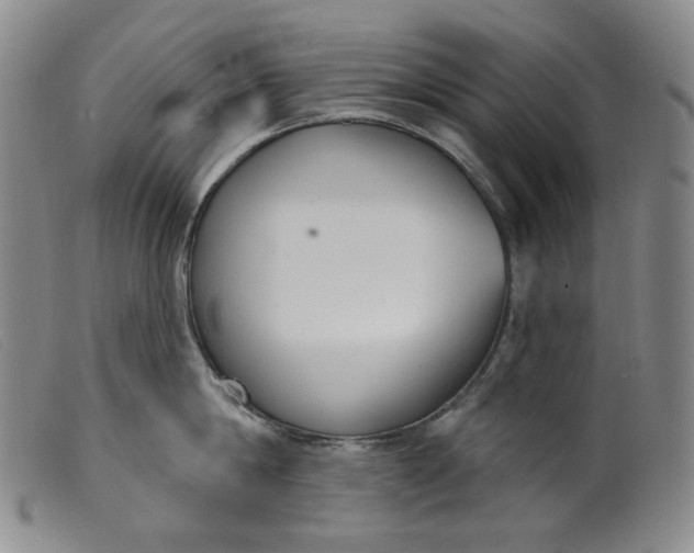 X0000099440814200805231716