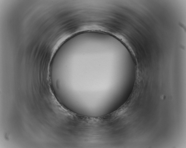X0000099440815200805231716