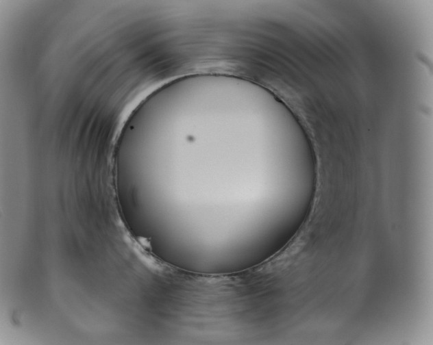 X0000099440816200805231716