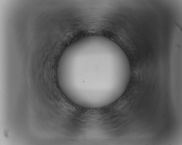 X0000099440817200805231715