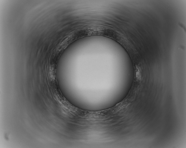 X0000099440819200805231715
