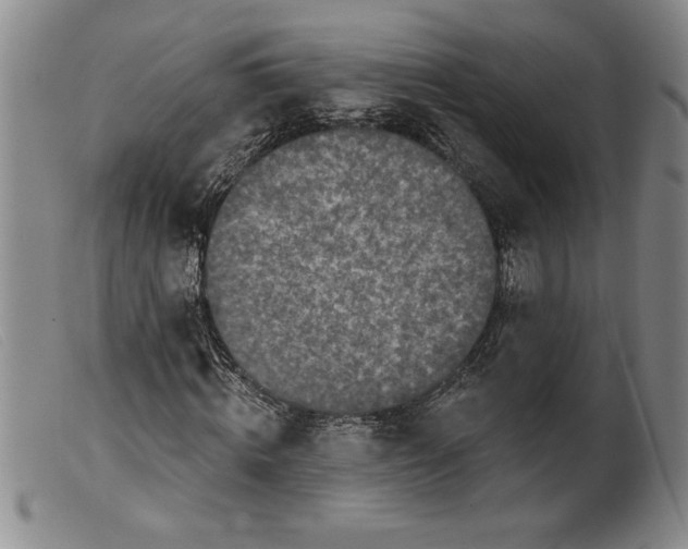 X0000099440820200805231715