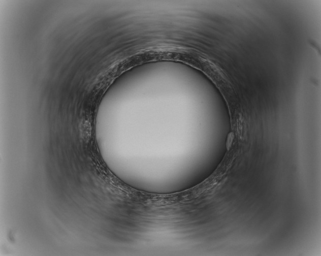 X0000099440821200805231715