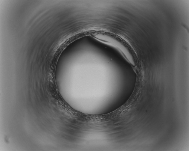 X0000099440823200805231715
